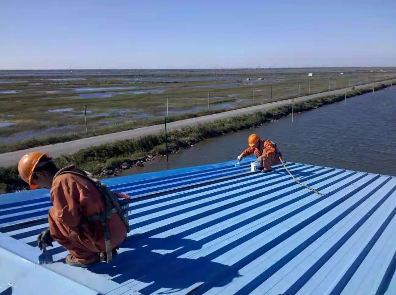 黄石港钢结构屋面漏水原因